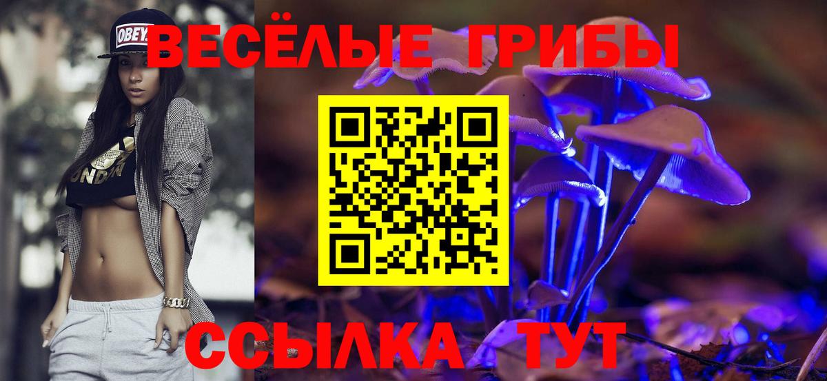 Галлюциногенные грибы прущие грибы Волжский