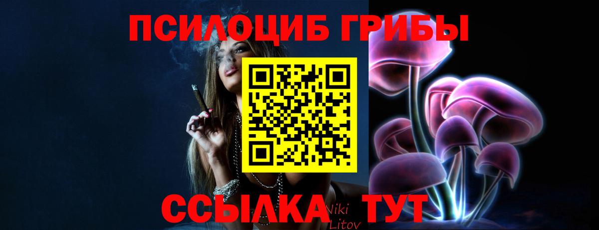 Волжский  Псилоцибиновые грибы Cubensis  Вход с VPN  Псилоцибиновые грибы мицелий 